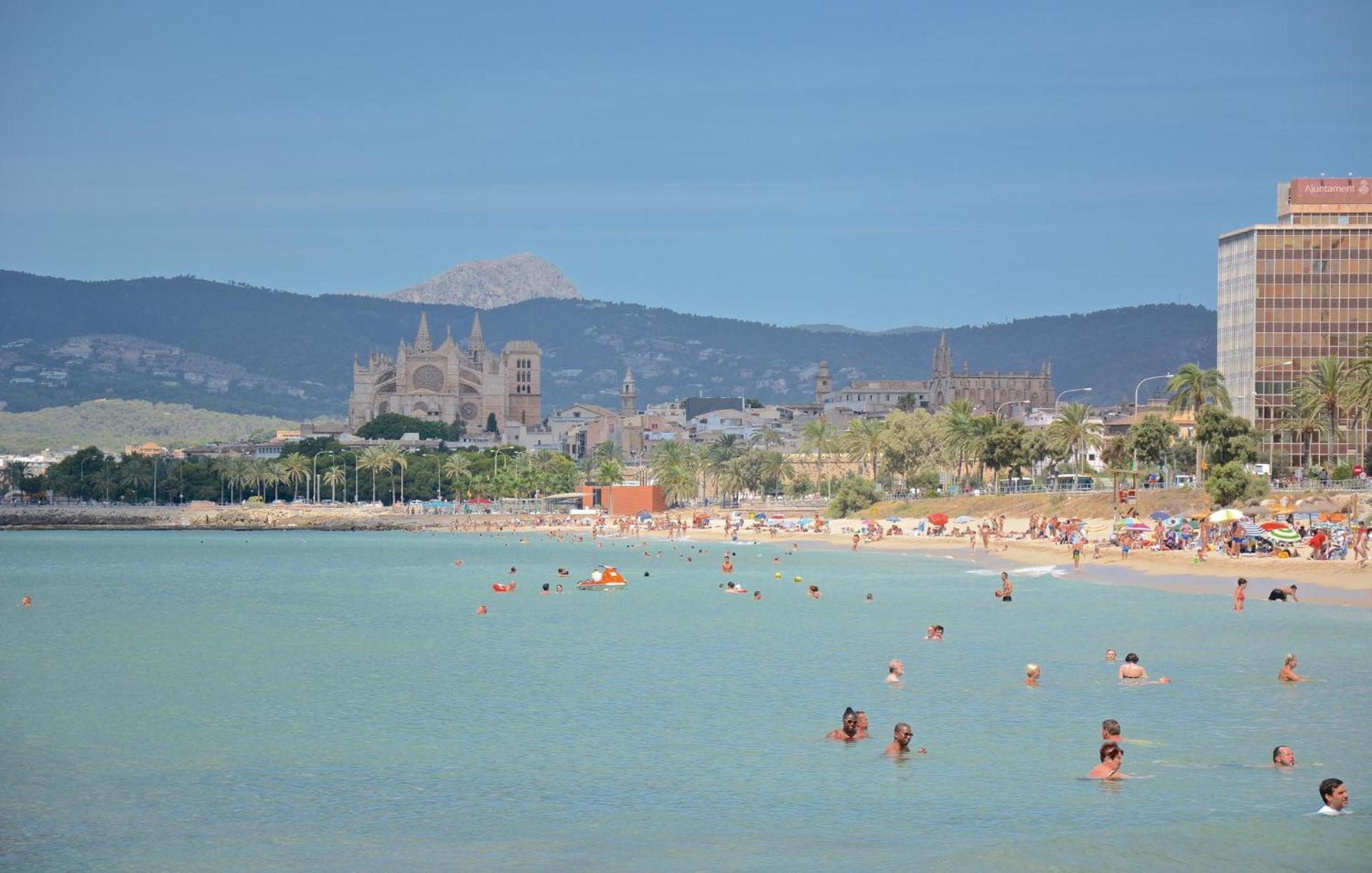Cozy In With Wifi Palma